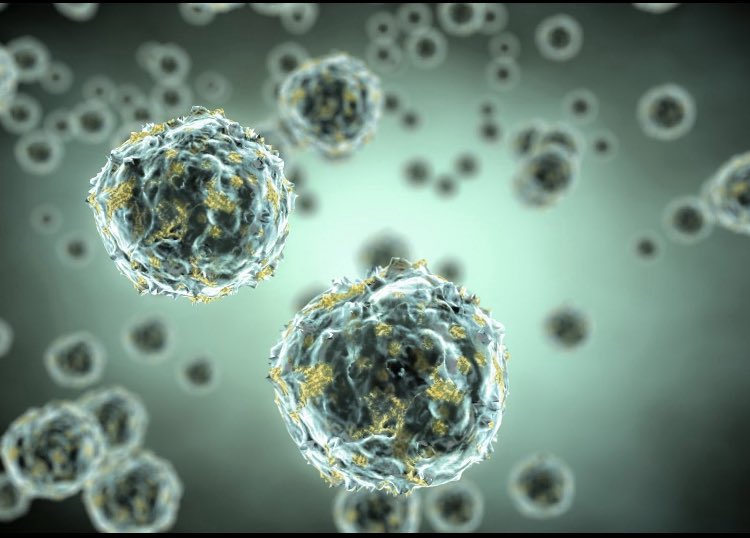 Autophagie : le super-pouvoir cellulaire anti-cancer primé par le Nobel

En 2016, le biologiste japonais Yoshinori Ohsumi a reçu le Prix Nobel pour avoir élucidé le mécanisme de l’autophagie : lorsque l’organisme est privé de nourriture, les cellules dégradent et recyclent leurs