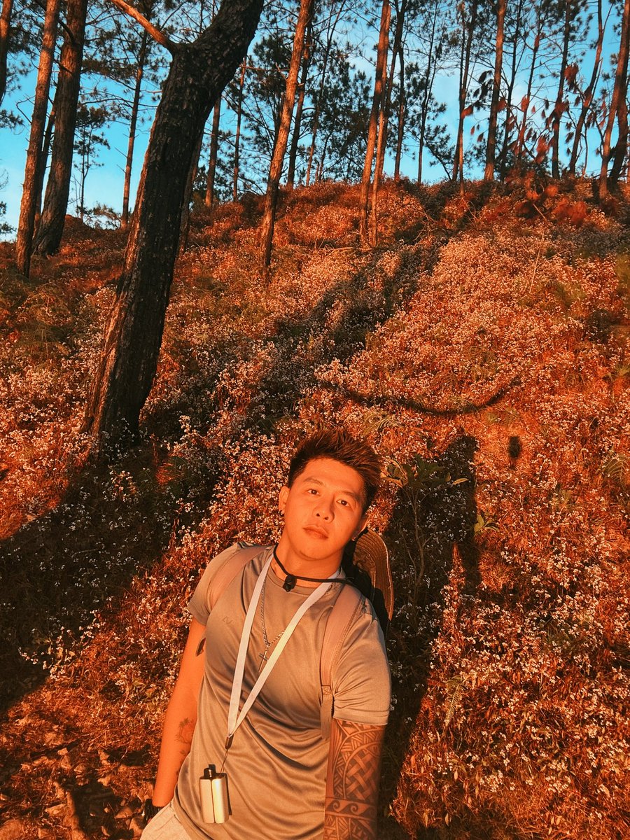 micah ditoy tweet media