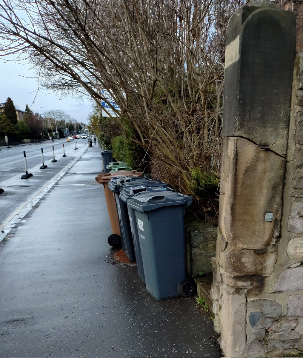 David Ferguson tweet media