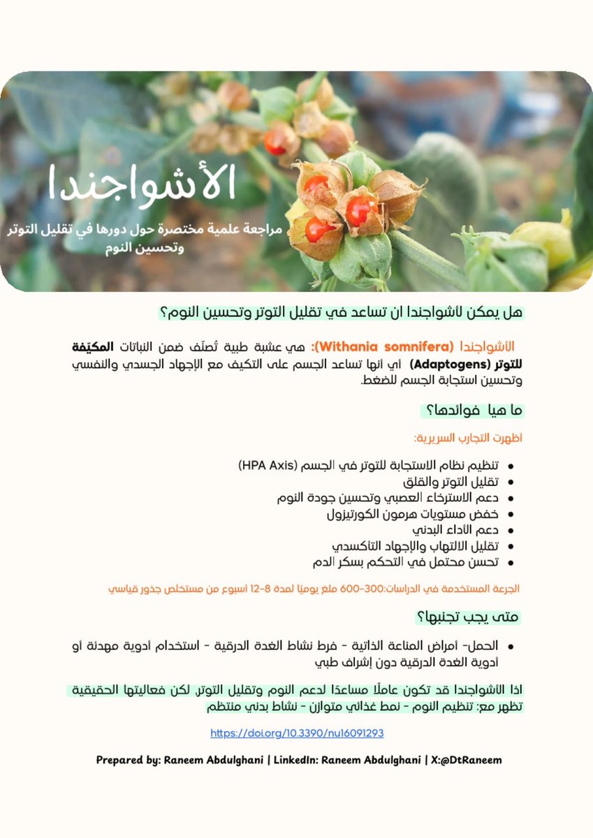 raneem abdulghani tweet media