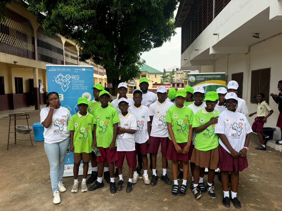 Agrointroductions Ghana tweet media