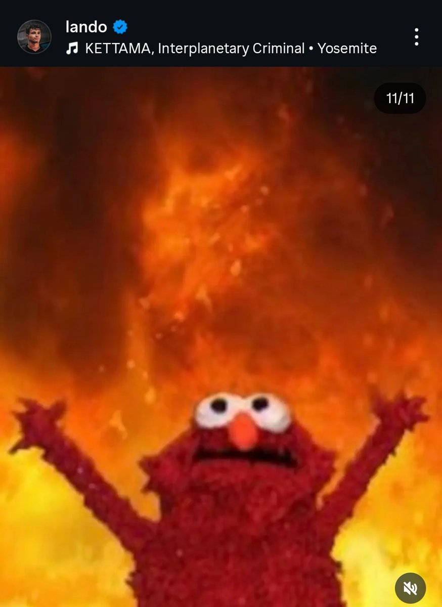 NorrisLandoFan's tweet image. New Lando's post on instagram 😍😅
#Lando #Norris