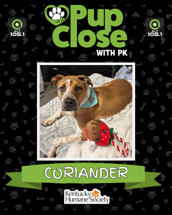 ALT 105.1 📻 tweet media