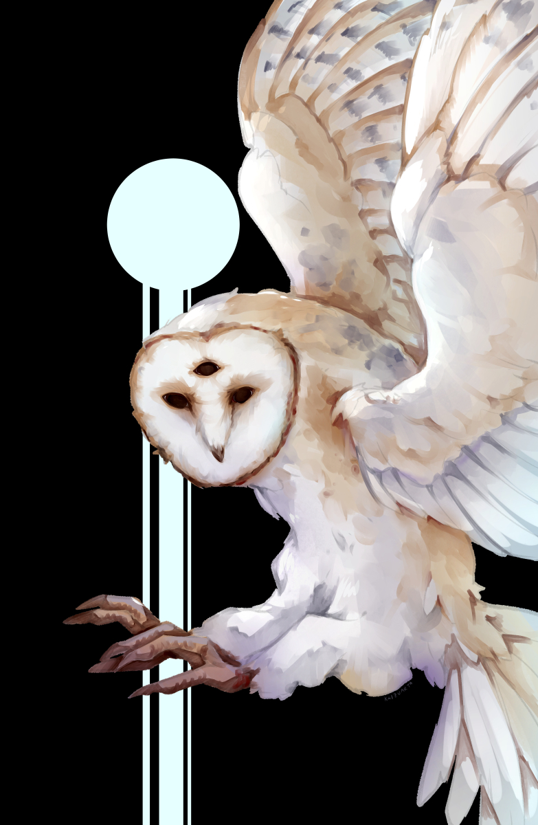 kaizu 👁👁👁 @ cons & such! ✨⭐️ tweet media