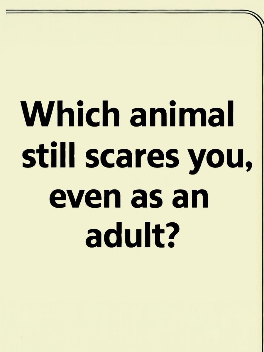 💕Mide💕 tweet media