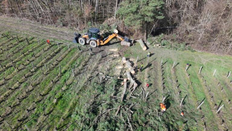 SecCivileFrance's tweet photo. #Intempéries | Après le passage de la tempête Nils et des inondations ayant touché le Lot-et-Garonne, les sapeurs-sauveteurs du 4e RIISC et les sapeurs-@pompiersdugard et @PompiersHerault interviennent aux côtés des agriculteurs.

🎯Objectifs :
- Tronçonnage sur des parcelles de vignes🍇
- Débâchage de serres
- Démontage des arceaux et remontage🛠️
- Pompage léger 

🧑‍🚒Au total, 89 personnels ont pris en charge 21 chantiers pour permettre la  reprise rapide des activités agricoles, réparer les installations des  exploitations et sauver des récoltes 🌽

✊La Sécurité civile se mobilise sans relâche aux côtés des habitants sinistrés.