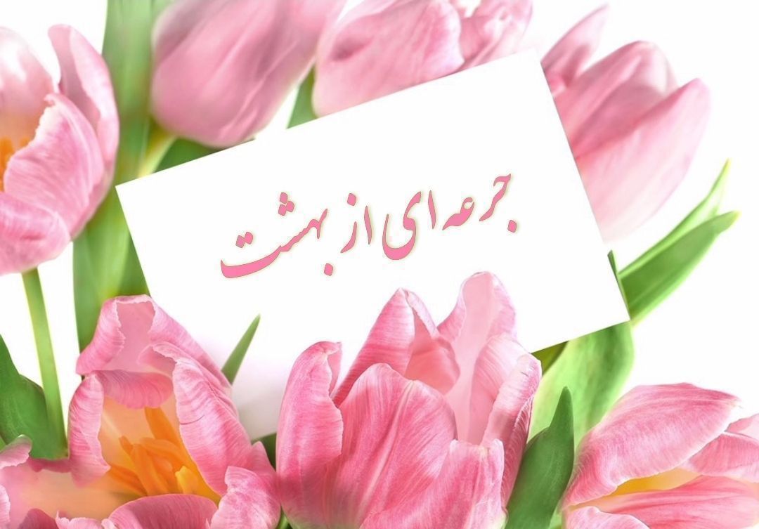 مهر بانو tweet media