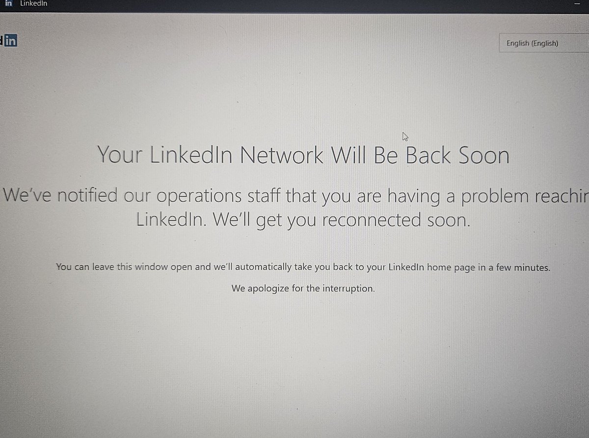 zαιяα tweet media