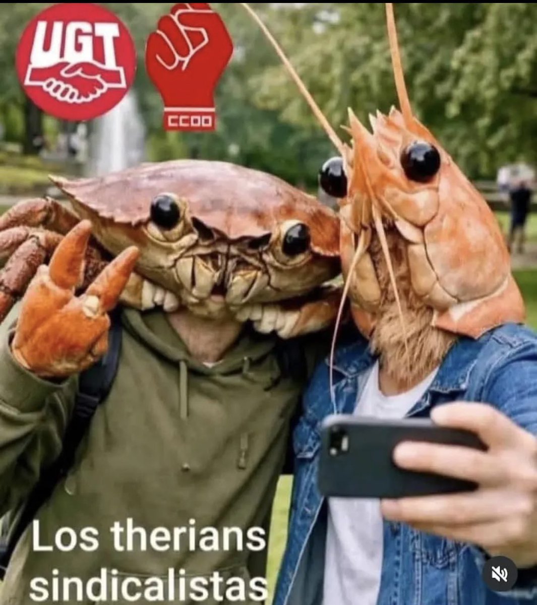 Doctor Tricornio tweet media