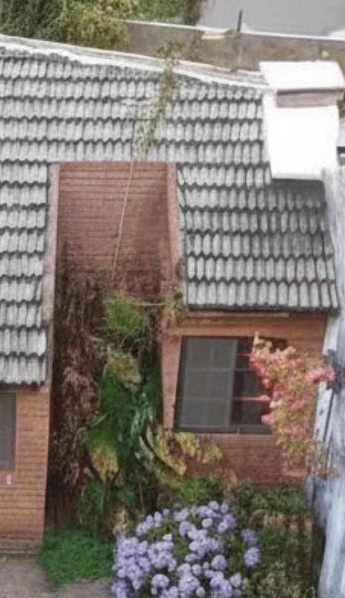 Reinterpretando tiras tweet media