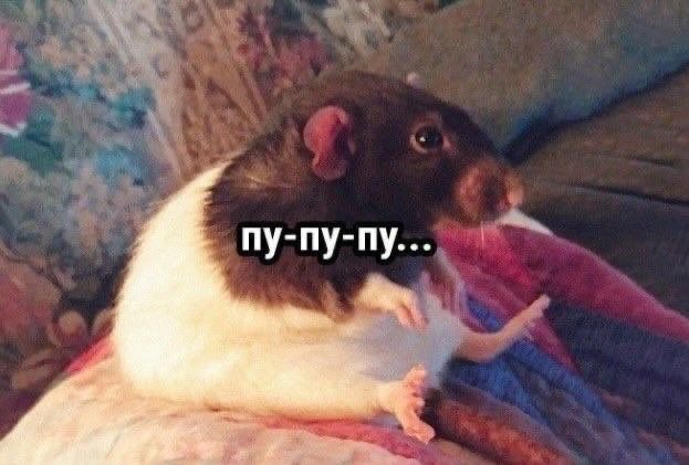 начальник абревіатур (@denfedieshov) on Twitter photo 