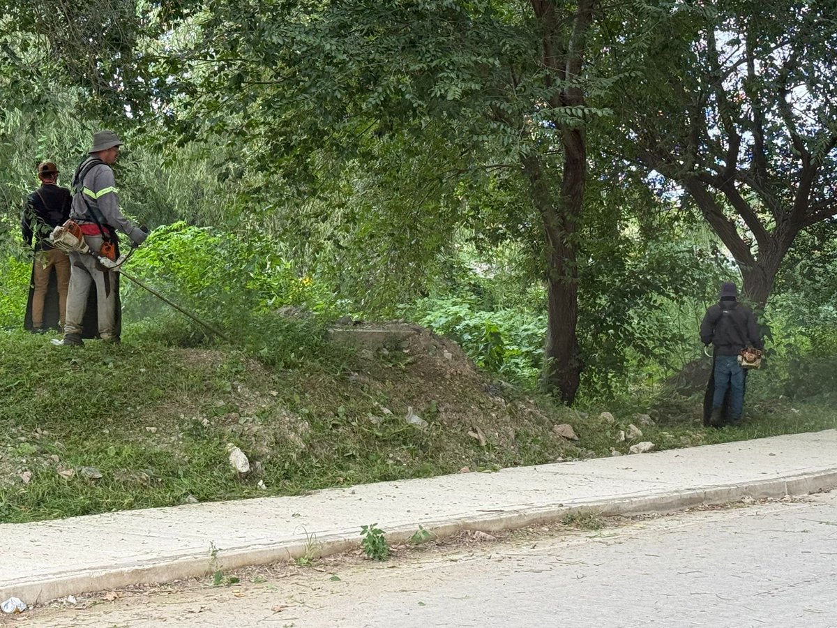 MunicipalidadVCP tweet media