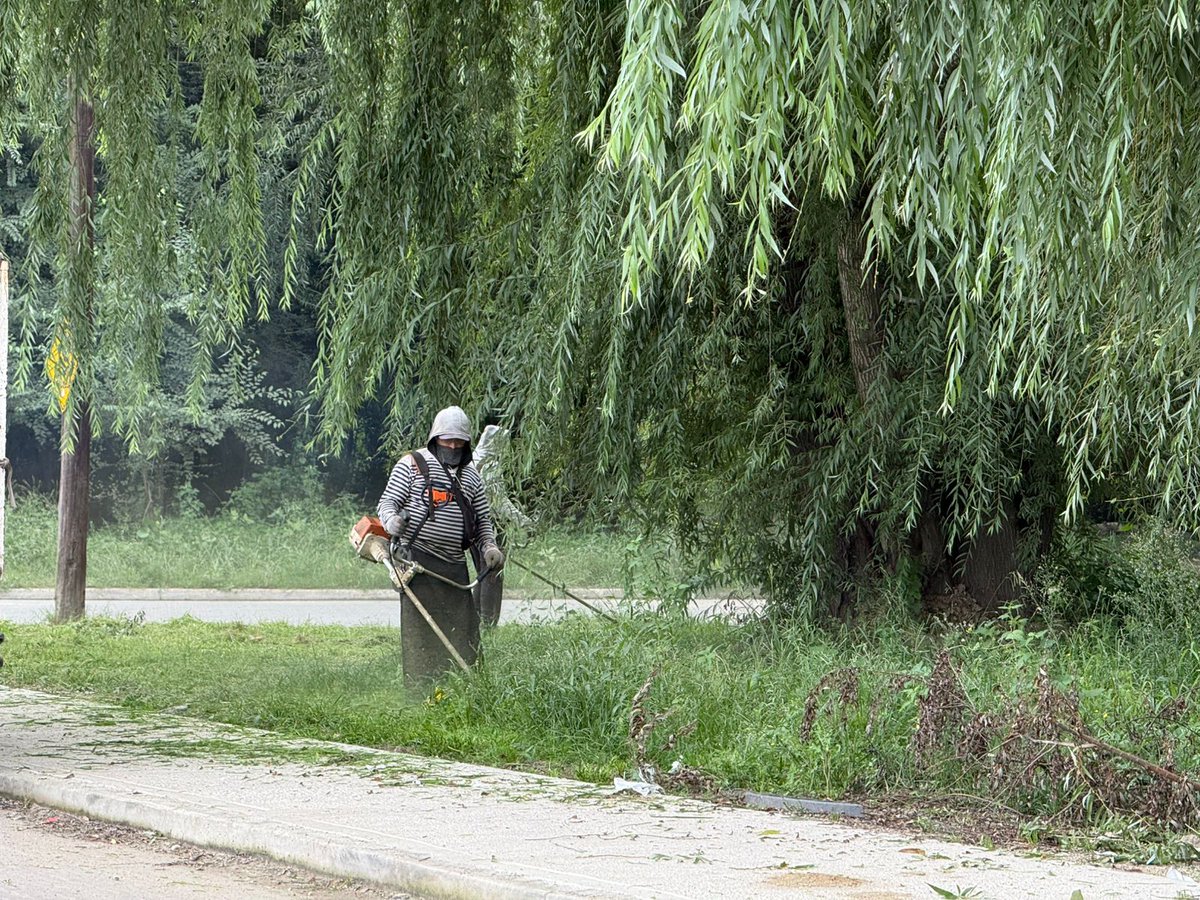 MunicipalidadVCP tweet media