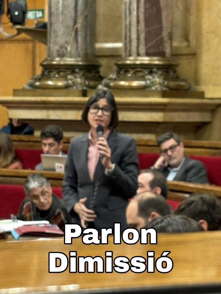 Per mentidera i per la seva maldat de voler empresonar per 4 anys a un innocent, declarat per un jutge.
<a href="/nuriaparlon/">Parlon #apeudecarrer #interioriseguretatpública</a> Dimissió