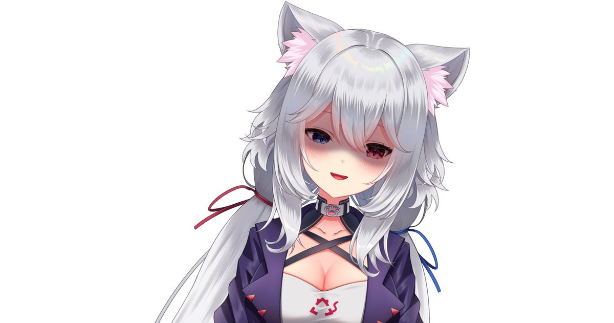 白猫のはくにゃん🤍🐈 (@hakunyan890) / Posts / X