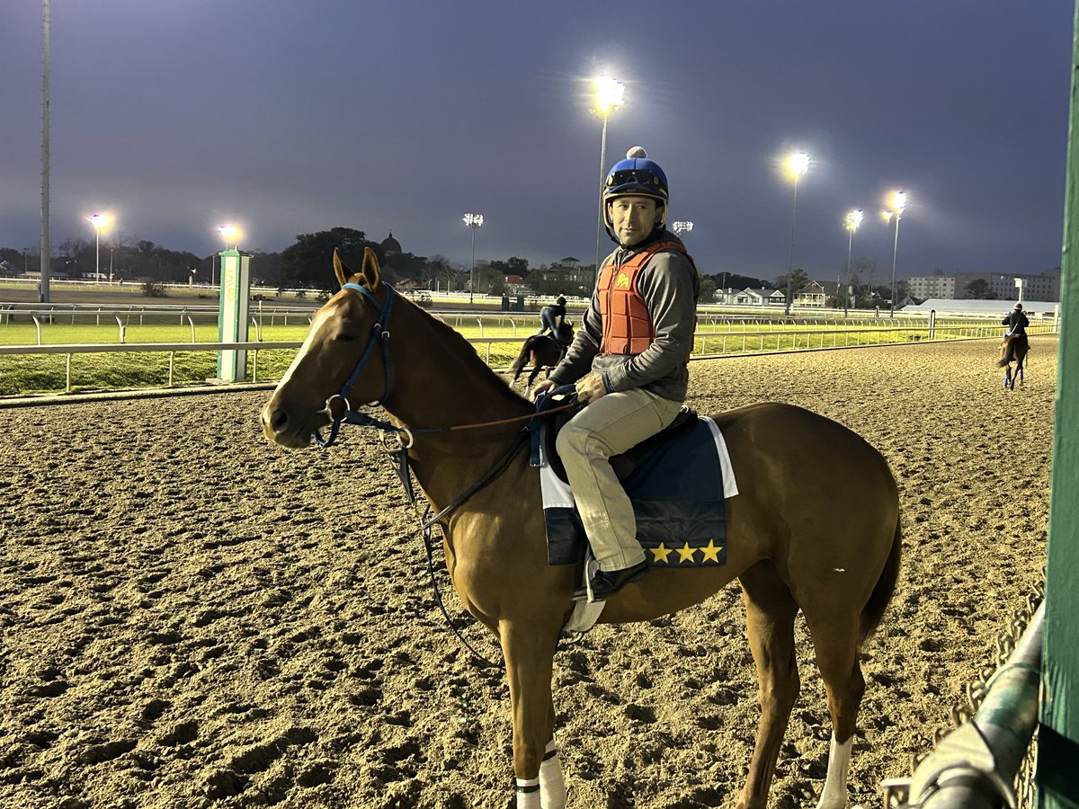 Team Forster tweet media