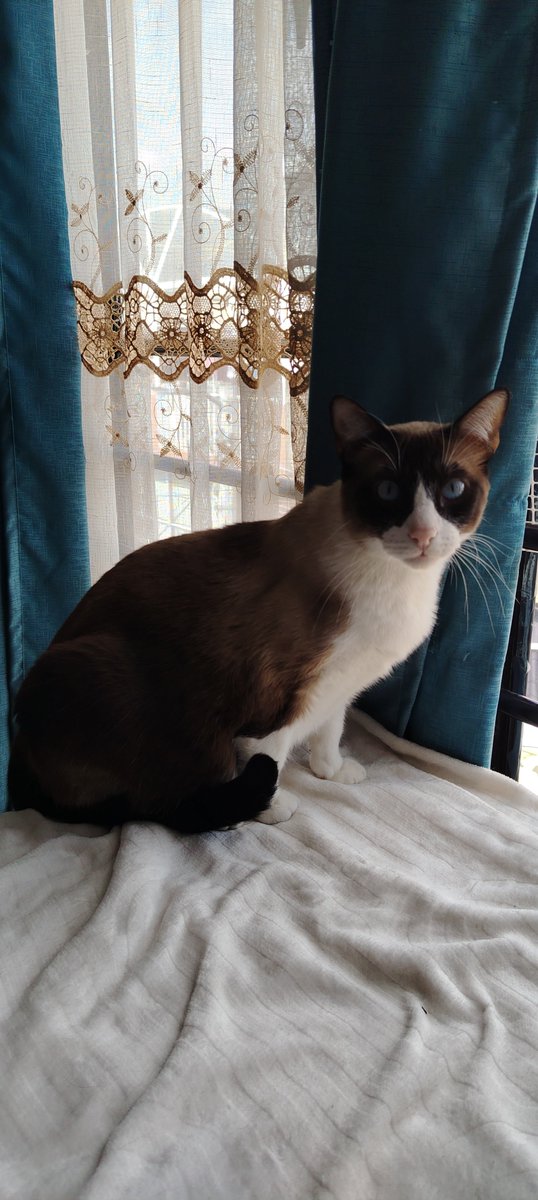 Stephannie Lopez tweet media