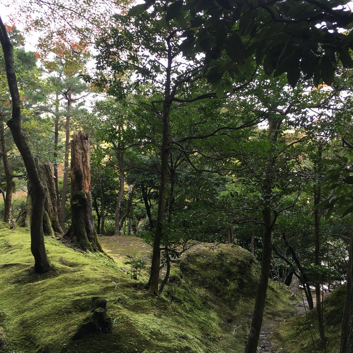 이토록 녹색의 교토