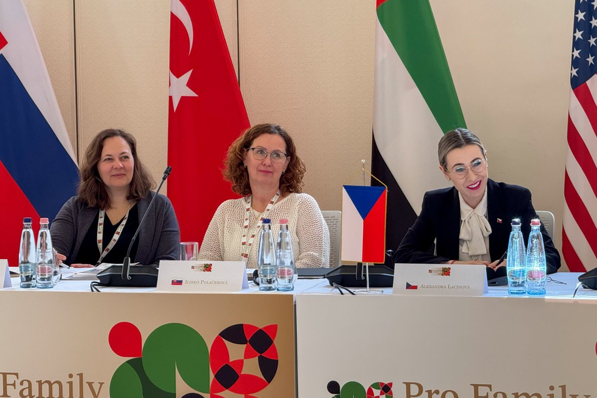 BudapestEmb's tweet photo. 🇬🇪Minister of IDPs fm the Occupied Territories, Labour, Health&amp;Social Affairs Mikheil Sarjveladze paid an official visit to 🇭🇺participating in the #FamilySupportSummit to strengthen international coop.&amp;exchange best practices in #demographic development &amp; #family support policy. https://t.co/zNy9tiFtCF