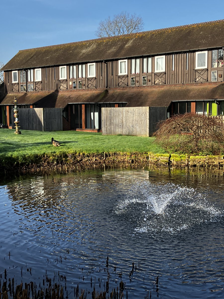 LVSHassocks's tweet photo. Sunshine at LVS Hassocks ☀️

Even the ducks are enjoying the change in weather 🦆

Days like this remind us how lucky we are to have such beautiful surroundings for our pupils to learn and grow in.

#ProudToBeLVSHassocks https://t.co/11RcyC7LD6