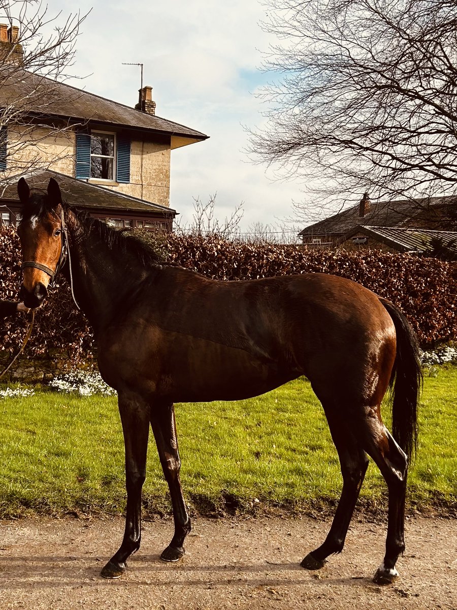 Martyn MacLeod tweet media