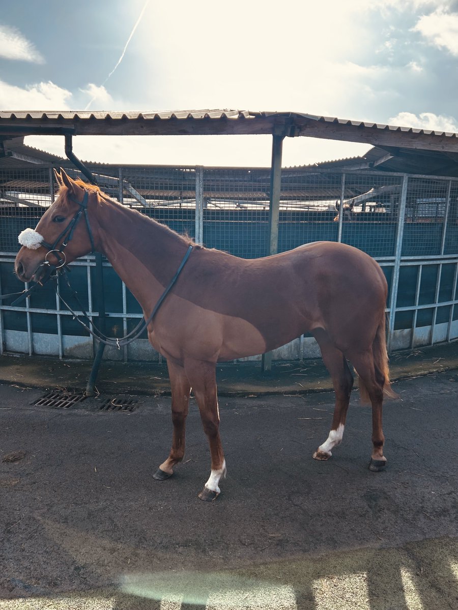 Martyn MacLeod tweet media