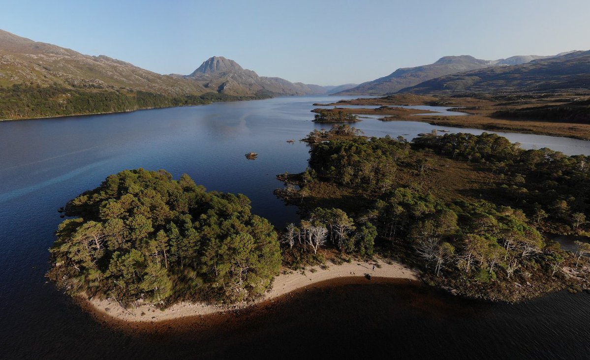 Iain Cameron tweet media