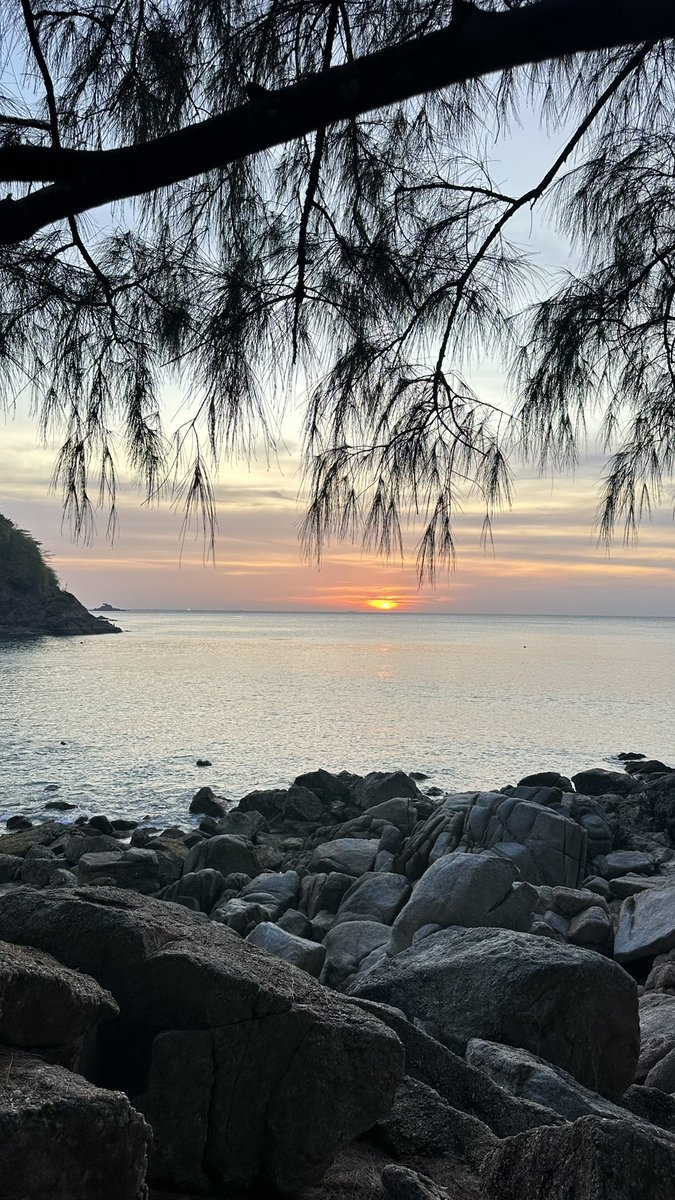 ntnc758's tweet photo. 🏝️🌊 https://t.co/NpxlD2Mfnx