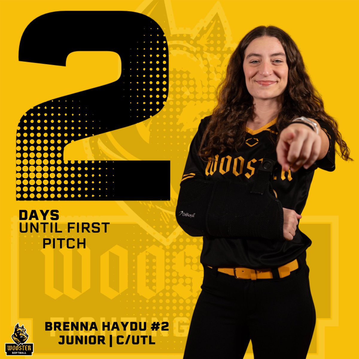 Wooster Softball tweet media