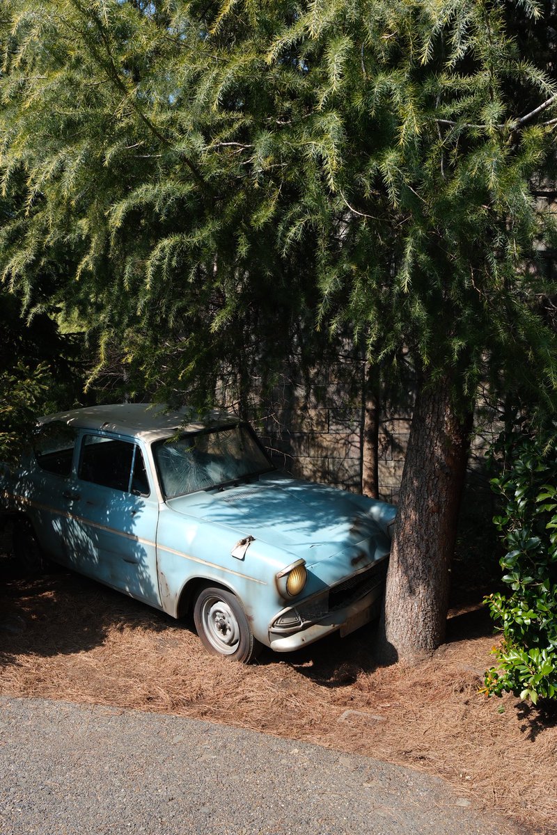 比巴卜 tweet media