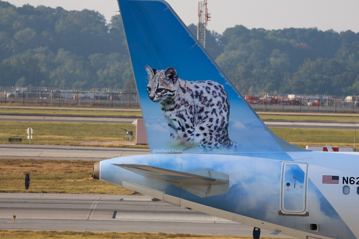 Avgeeksnaps tweet media