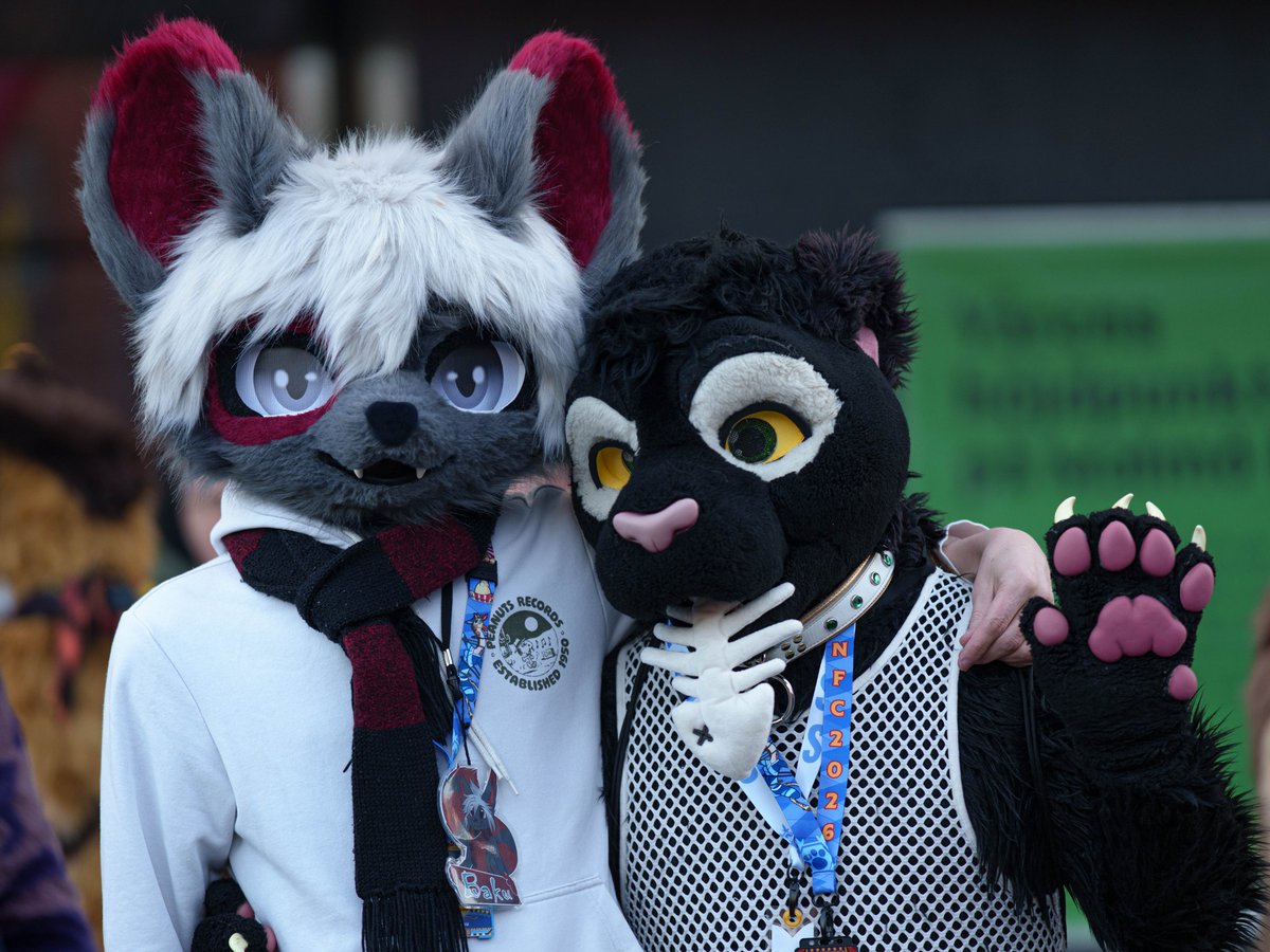BeerYeener's tweet photo. Good seeing these goobers again at #NFC2026 ! Glad to get some pics! @Shads_fluff @Bakufluff https://t.co/BdMbIj0NPR