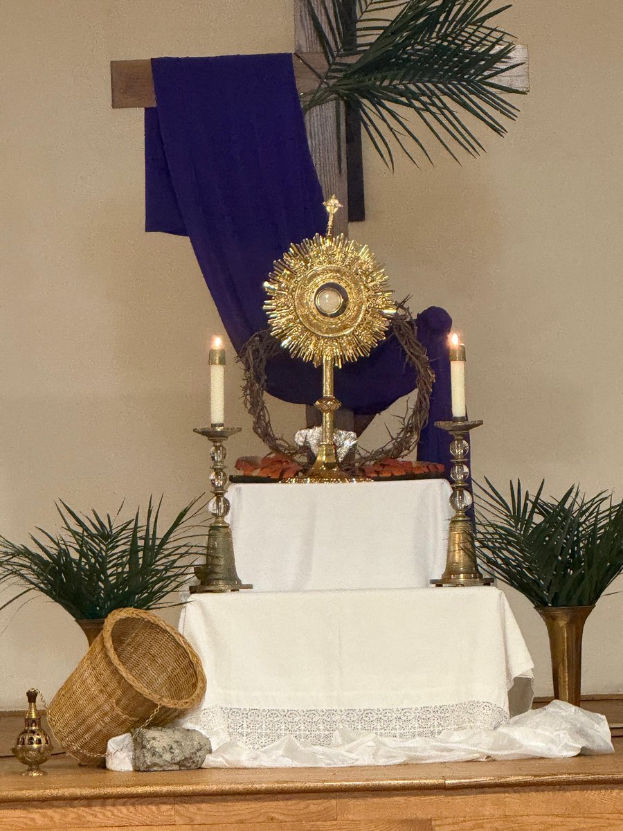 Co-Cathedral of St. Joseph tweet media