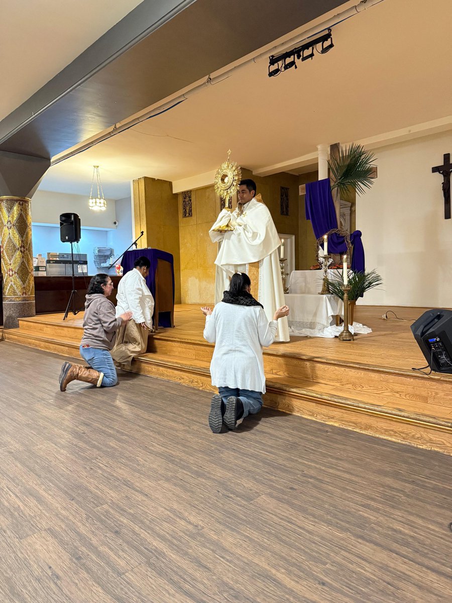 Co-Cathedral of St. Joseph tweet media