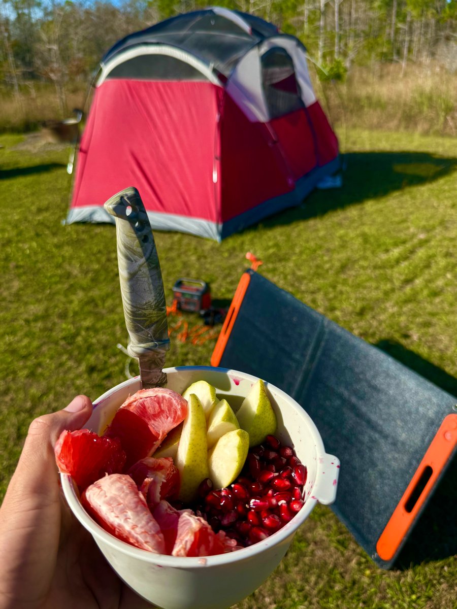 Fruit is one of the few foods designed to be eaten. It has the perfect blend of fructose and glucose. 

Glucose triggers an insulin response and drives GLUT4 activity in muscle cells for immediate energy production.

Fructose bypasses systemic circulation entirely and is sent