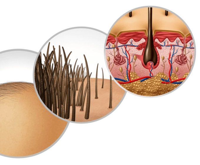 Mr Reshto | آقای رشتو tweet media