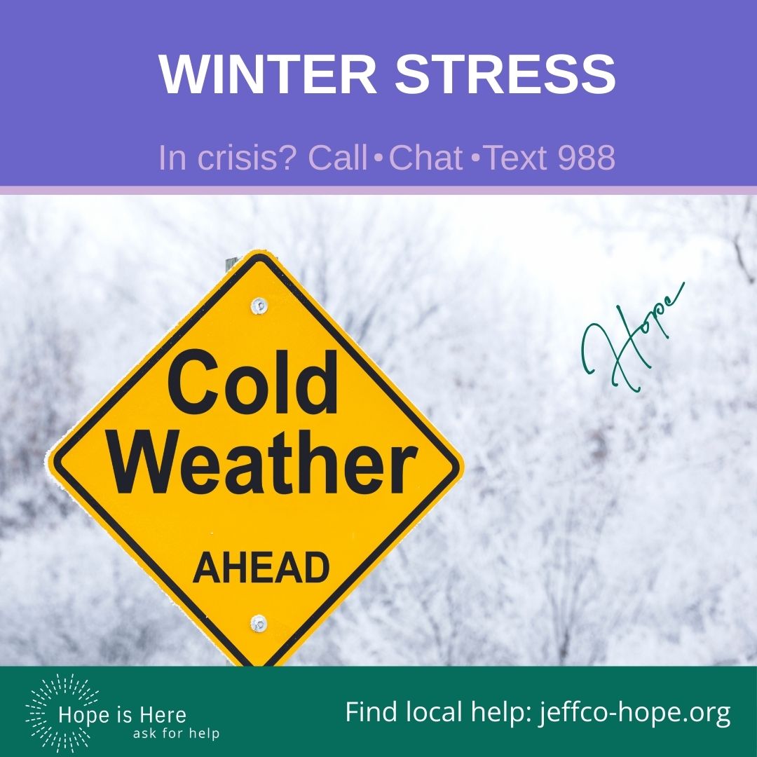 Chestnut Health Systems tweet media