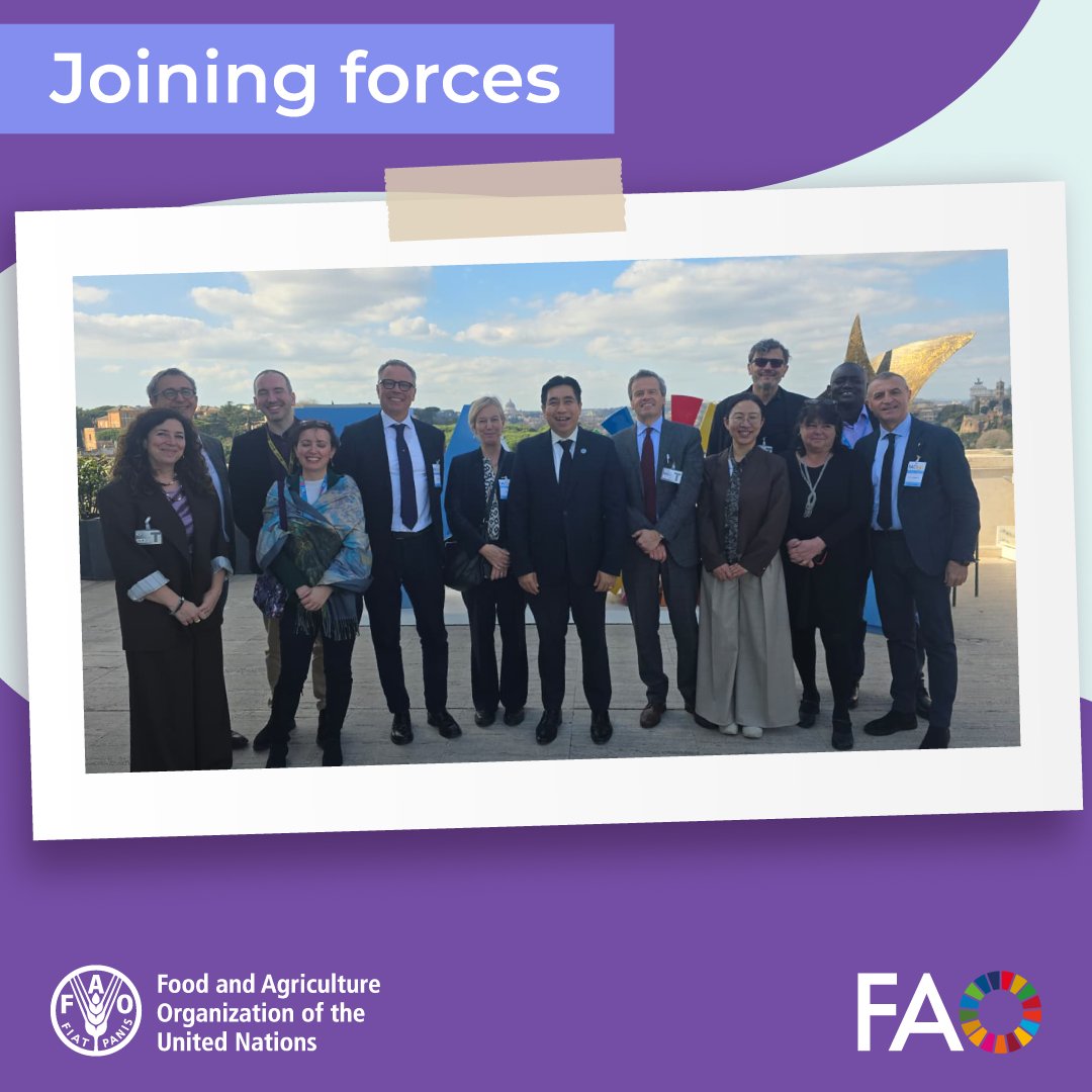 FAO Livestock tweet media