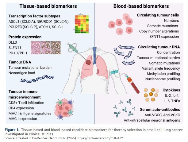 Therapeutic Advances in Medical Oncology tweet media