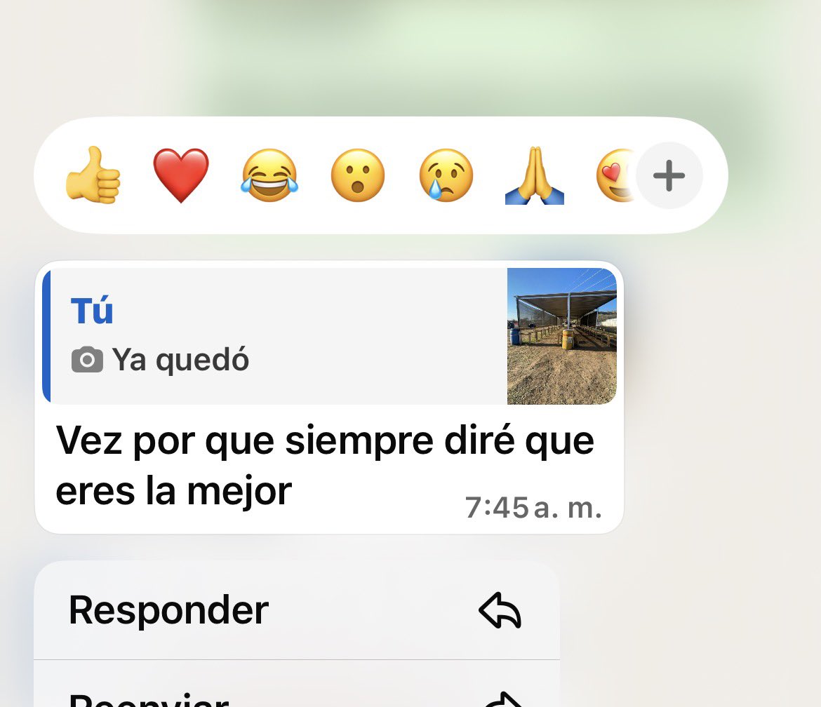 jeeeenny___'s tweet photo. Que mis dos jefas y los altos mandos digan que soy la mejor 😮‍💨🫵🏼🙊 https://t.co/B9K2RFh2su