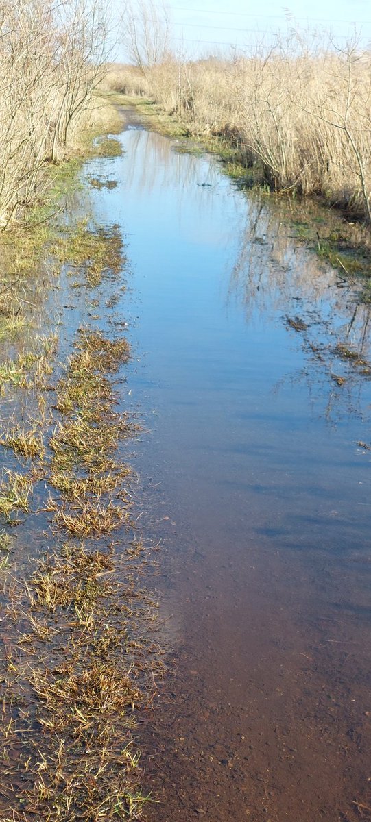 Karin Gibcus🥾🥾 uut Grunn tweet media