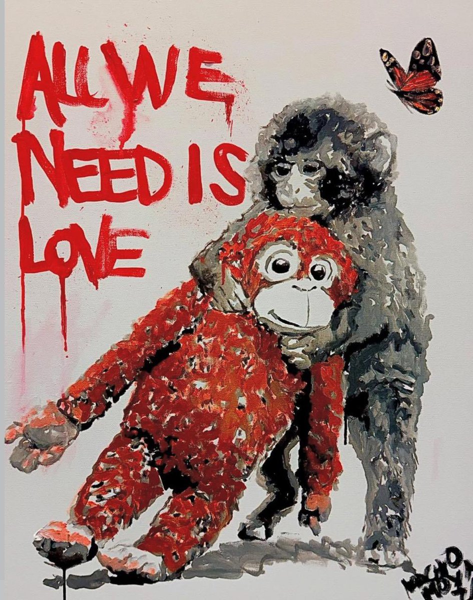 As an animal lover and advocate, I couldn't remain indifferent to Punch's story. His videos made me cry a lot. I want him for myself, but more than that, Punch taught the world about acceptance, love, solidarity, and empathy.😍❤️🐒