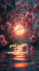 Swaroop53845146's tweet photo. Good night to all x stars🌆 ✨ 
I'm back now https://t.co/kOBuao8t2y