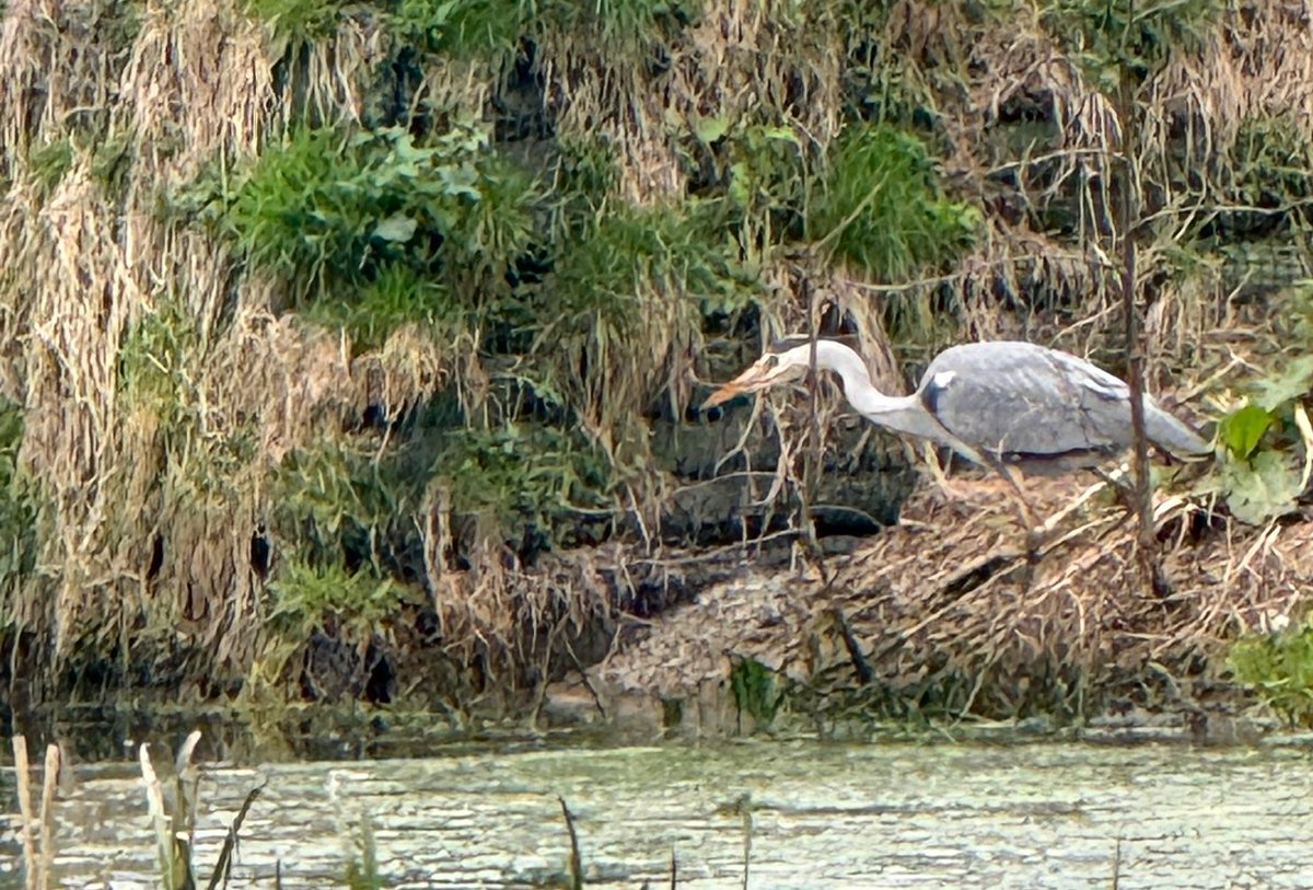 One You Plymouth tweet media