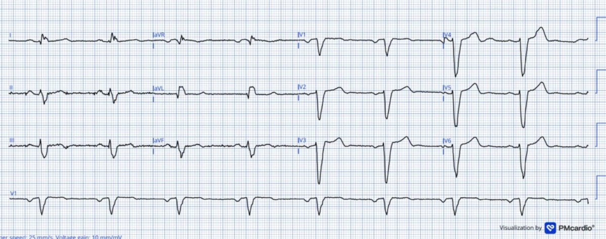 Stephen W. Smith tweet media