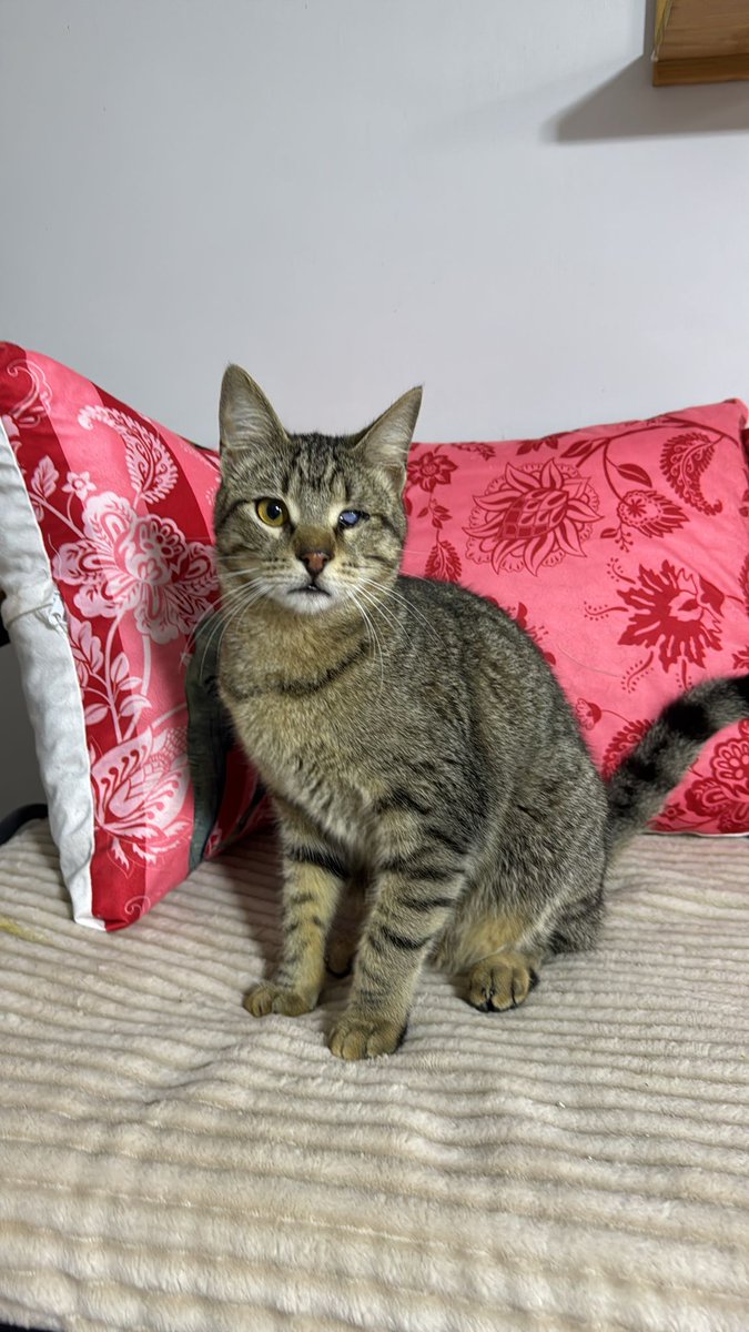 <a href="/zeyno_citlembik/">çitlembik zeyno</a> Yuva arıyorum mentionı