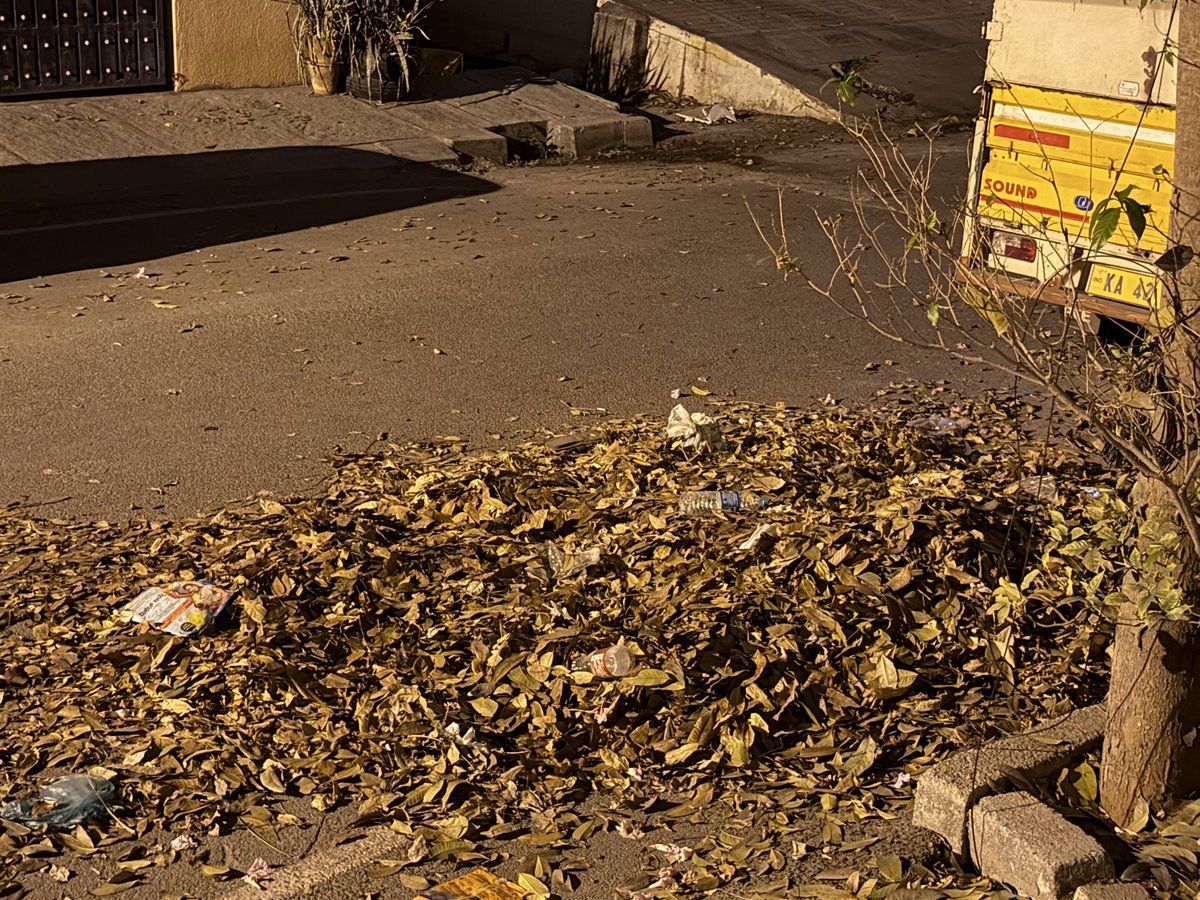 choukimathverse's tweet photo. @bbmpcommr every summer we face this garbage issue right in front of the house and this causes increase in mosquitoes and serious health issue. 
Wet waste vehicle has not seen anywhere nearby for the last 10 days. 

Request to take immediate action on this. 

#waste #bbmp https://t.co/l7PXxmHCje
