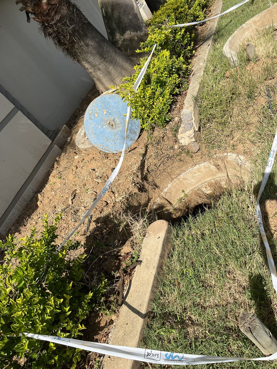 Hilary Wynne tweet media