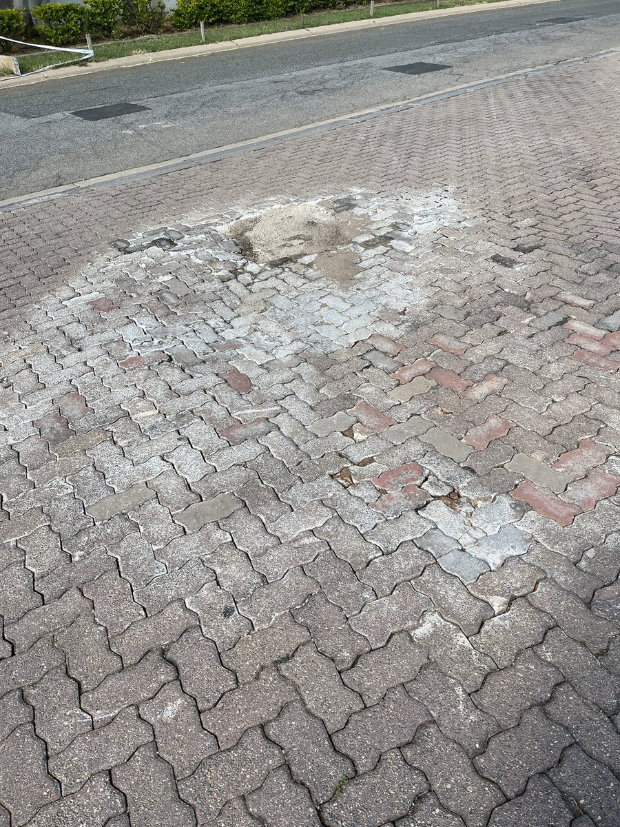 Hilary Wynne tweet media