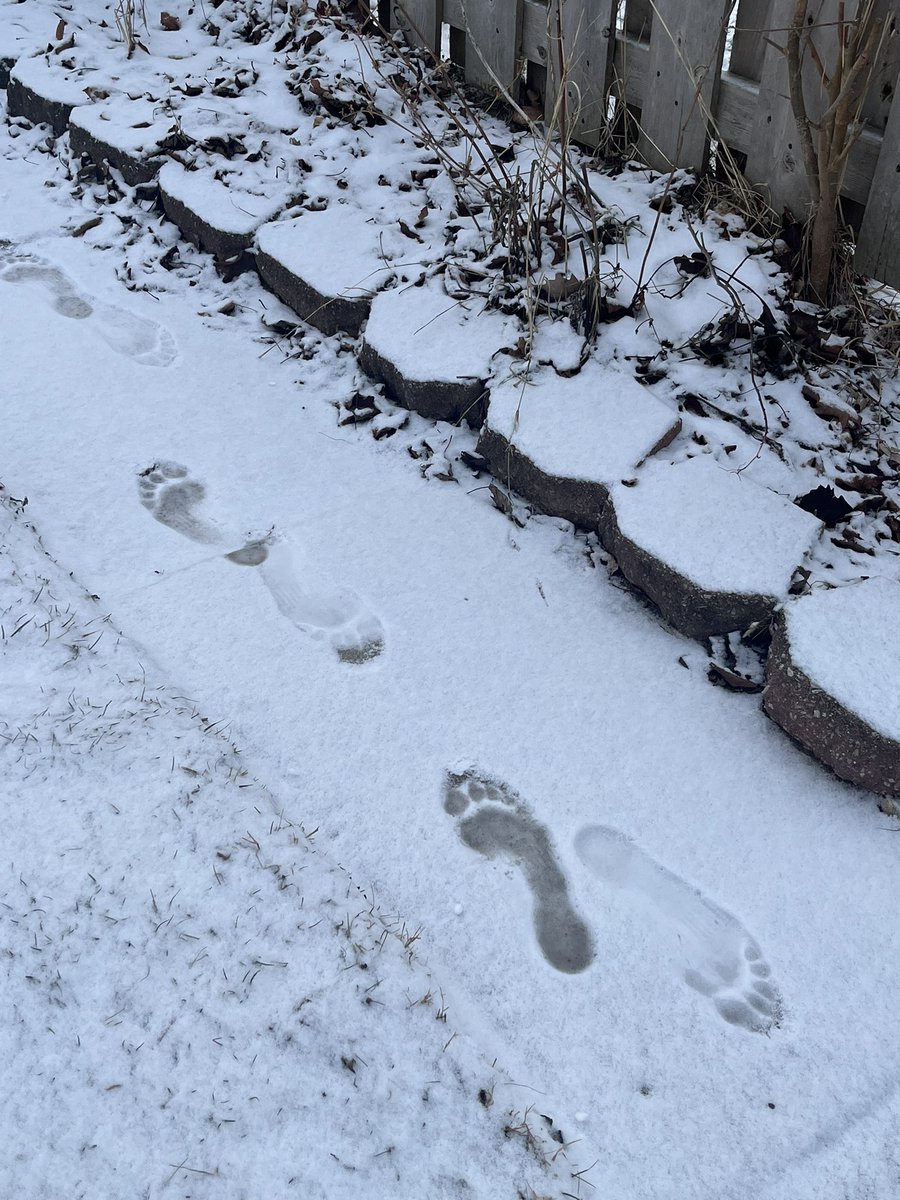 Khorgnir, Edict Breaker tweet media